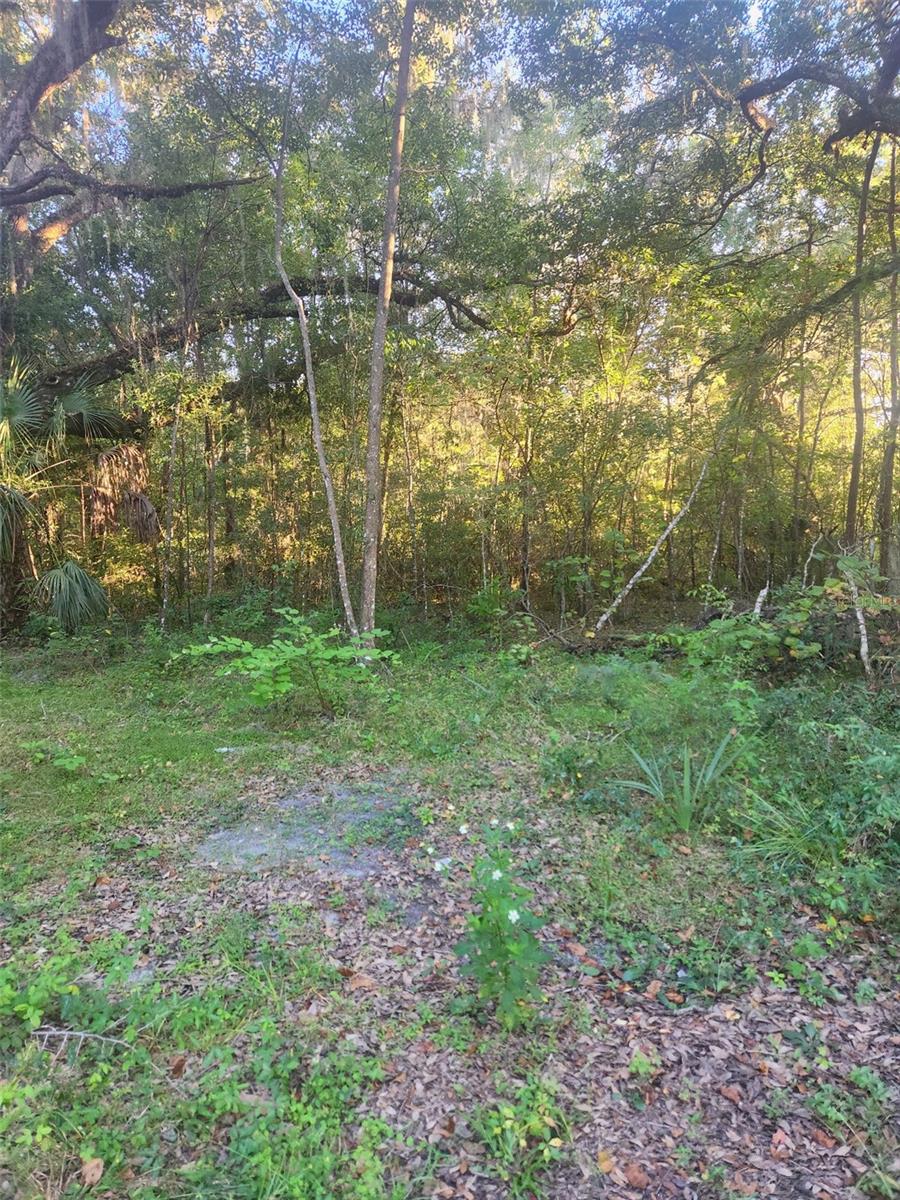 TBD SE 75TH STREET, OCALA, FL, 34480