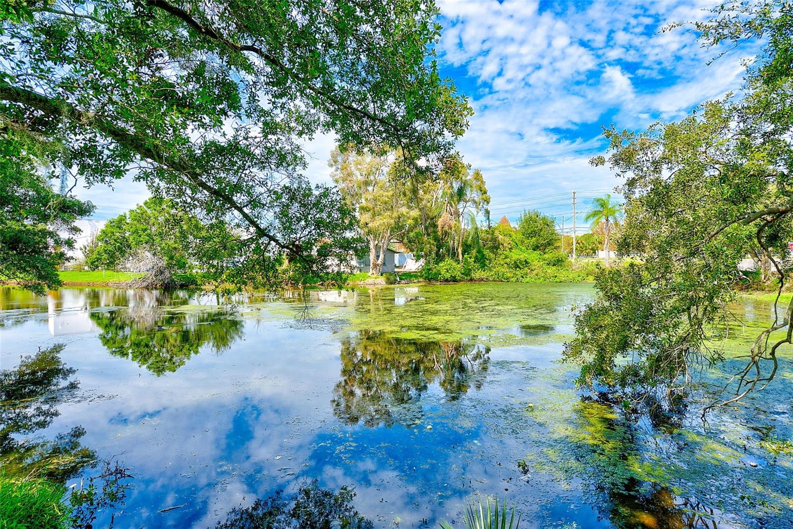 1895 LAKE JUDY LEE DR, LARGO, FL, 33771