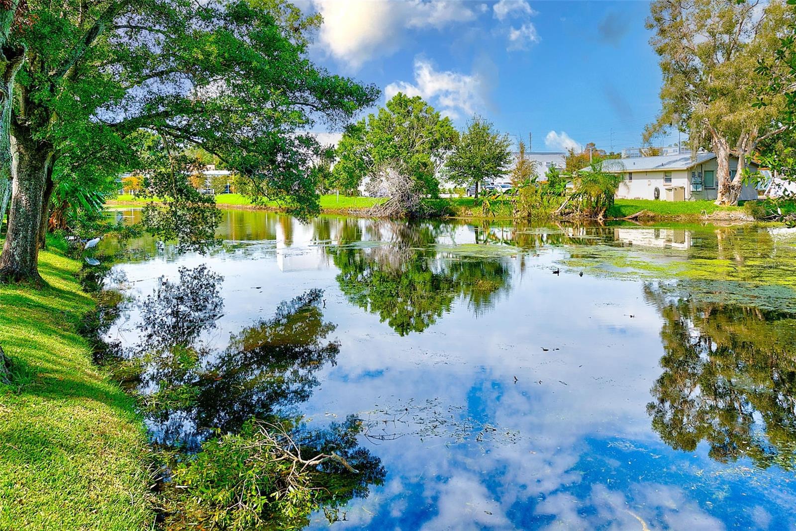 1895 LAKE JUDY LEE DR, LARGO, FL, 33771