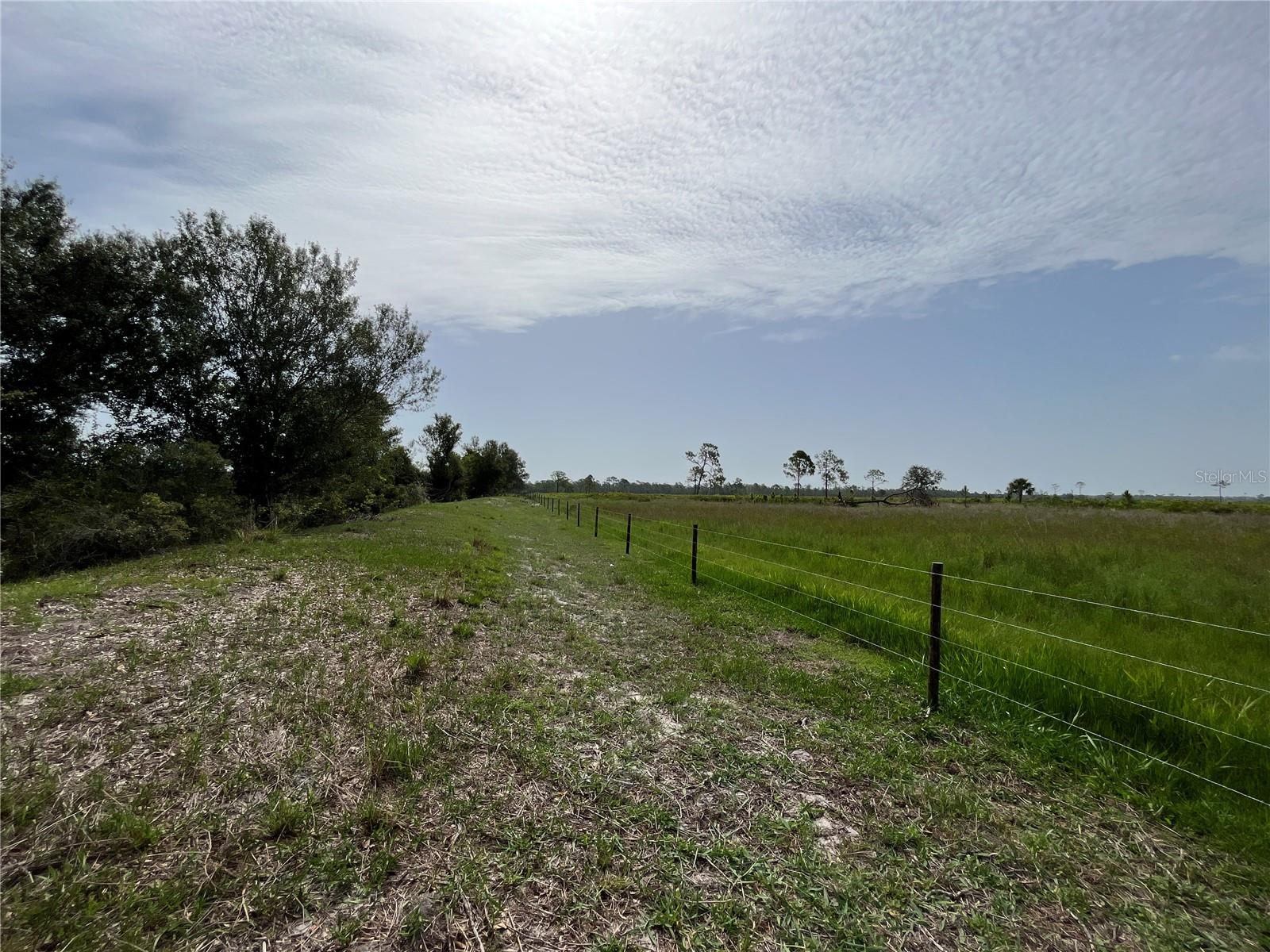 16425 COKER GULLY RD, MYAKKA CITY, FL, 34251