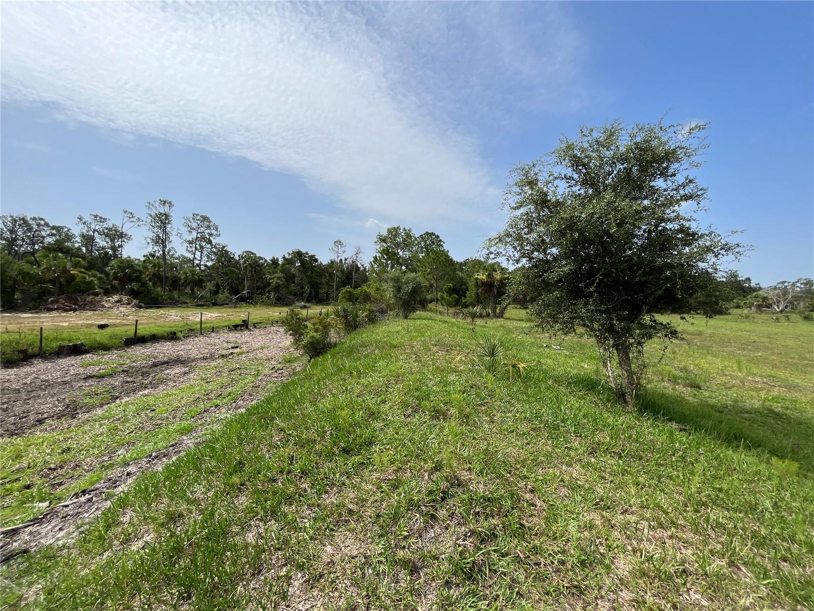 16425 COKER GULLY RD, MYAKKA CITY, FL, 34251
