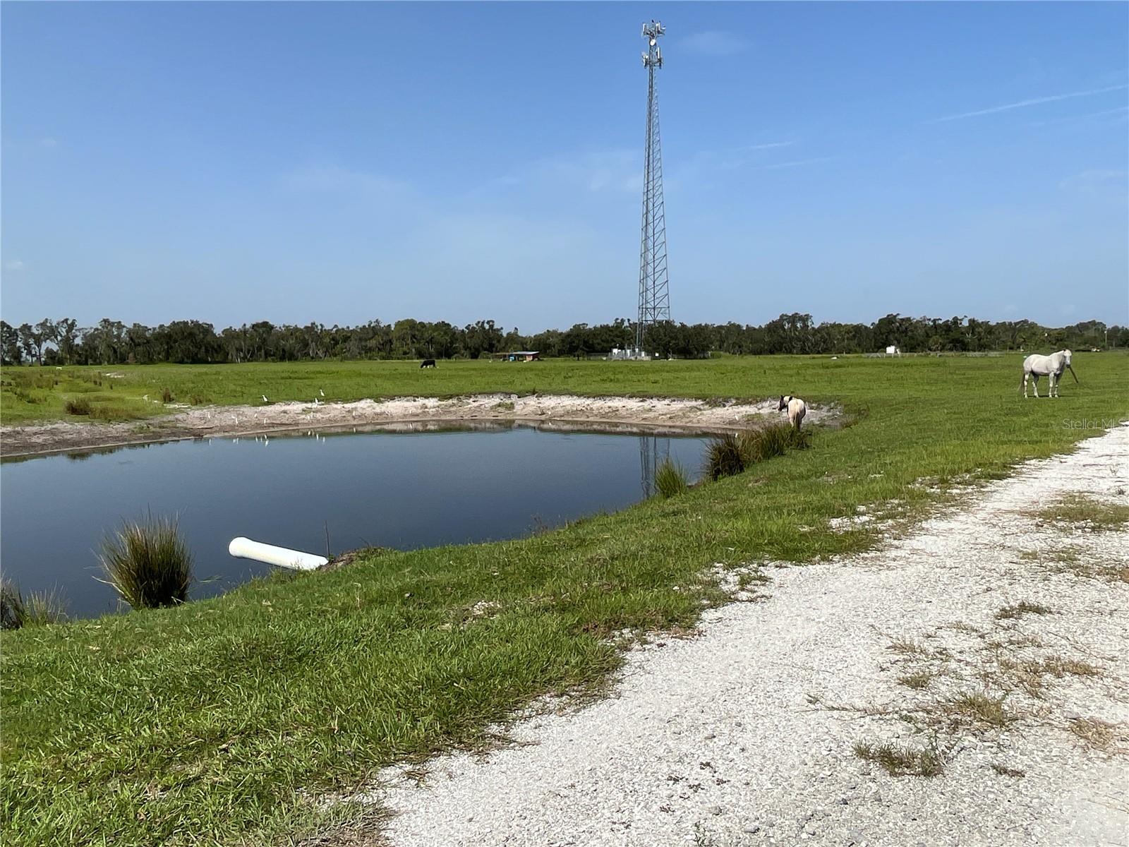 16425 COKER GULLY RD, MYAKKA CITY, FL, 34251