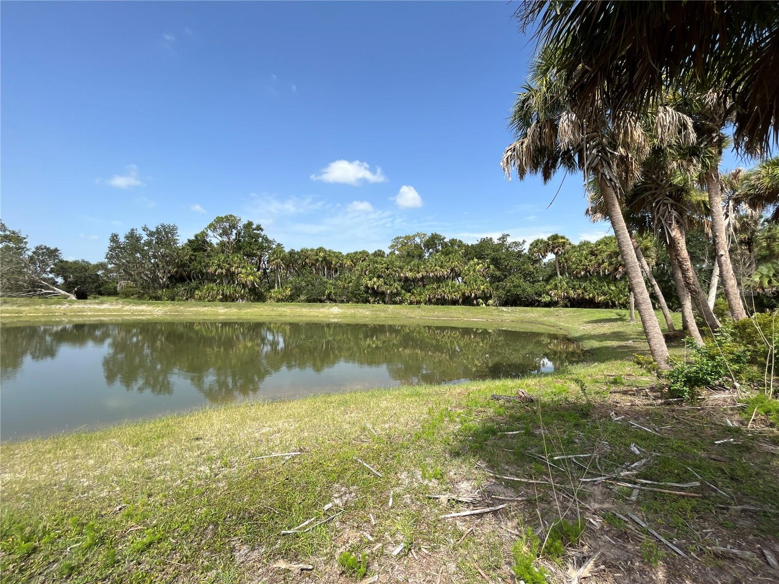 16425 COKER GULLY RD, MYAKKA CITY, FL, 34251