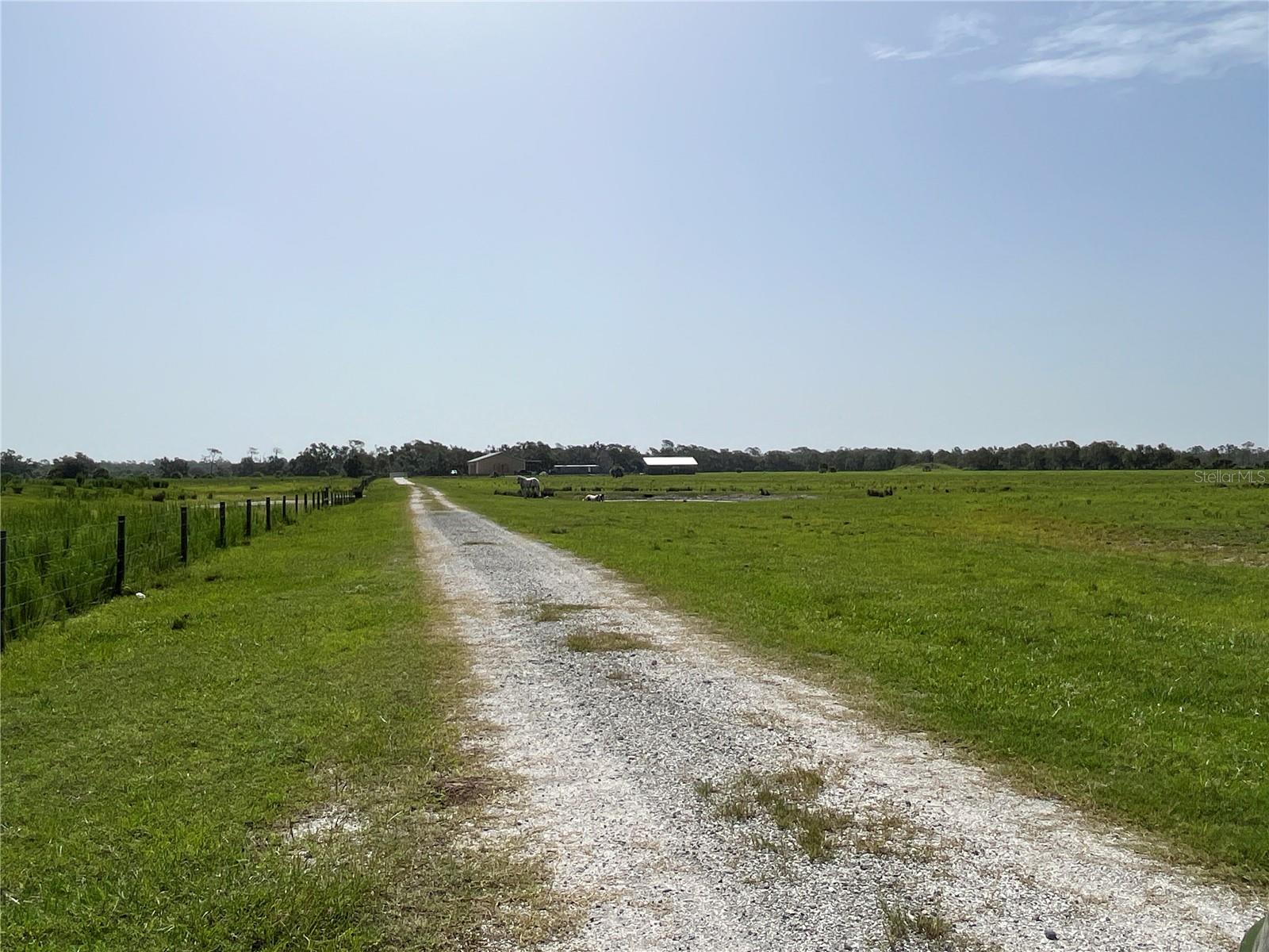 16425 COKER GULLY RD, MYAKKA CITY, FL, 34251