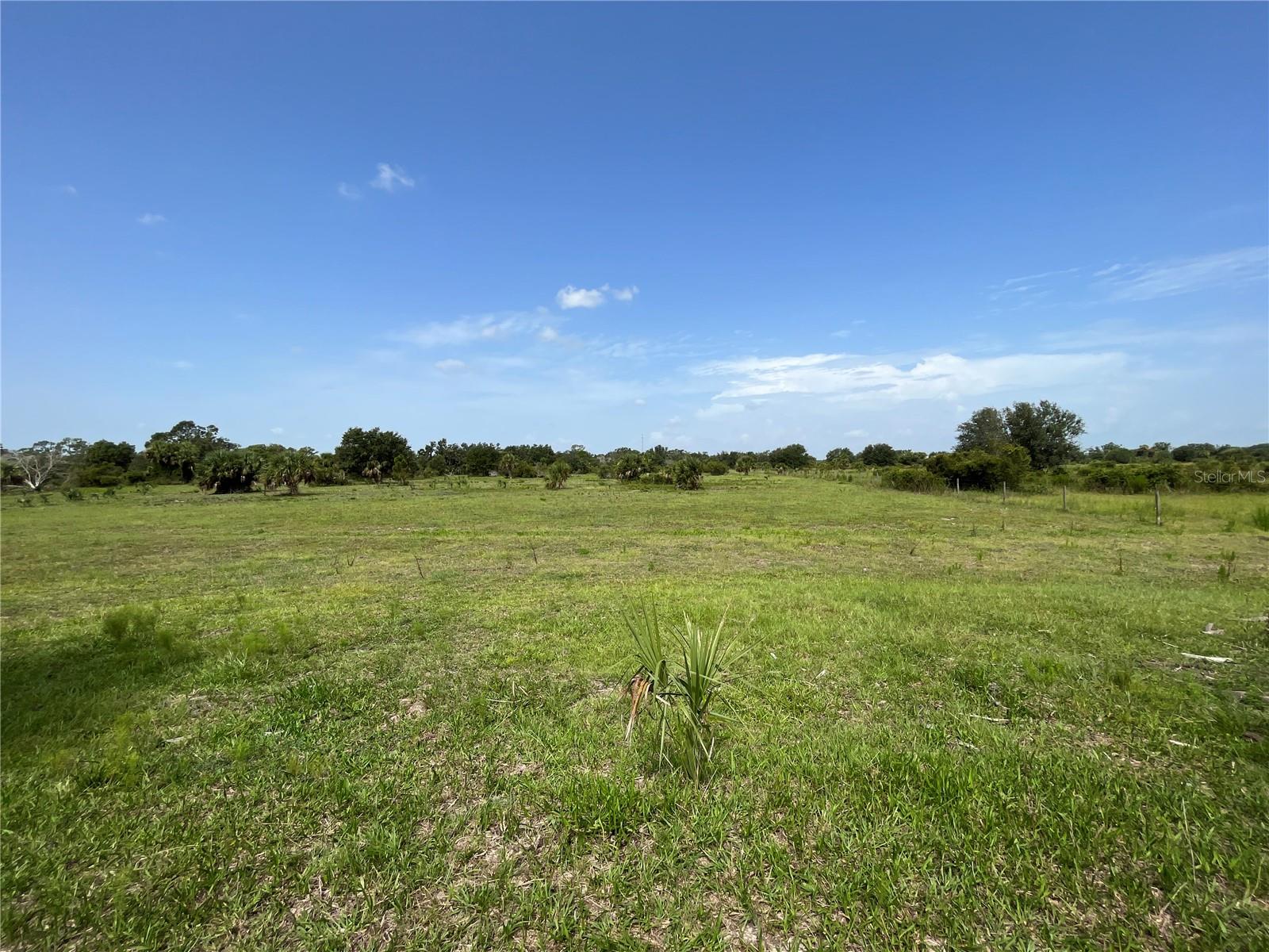 16425 COKER GULLY RD, MYAKKA CITY, FL, 34251