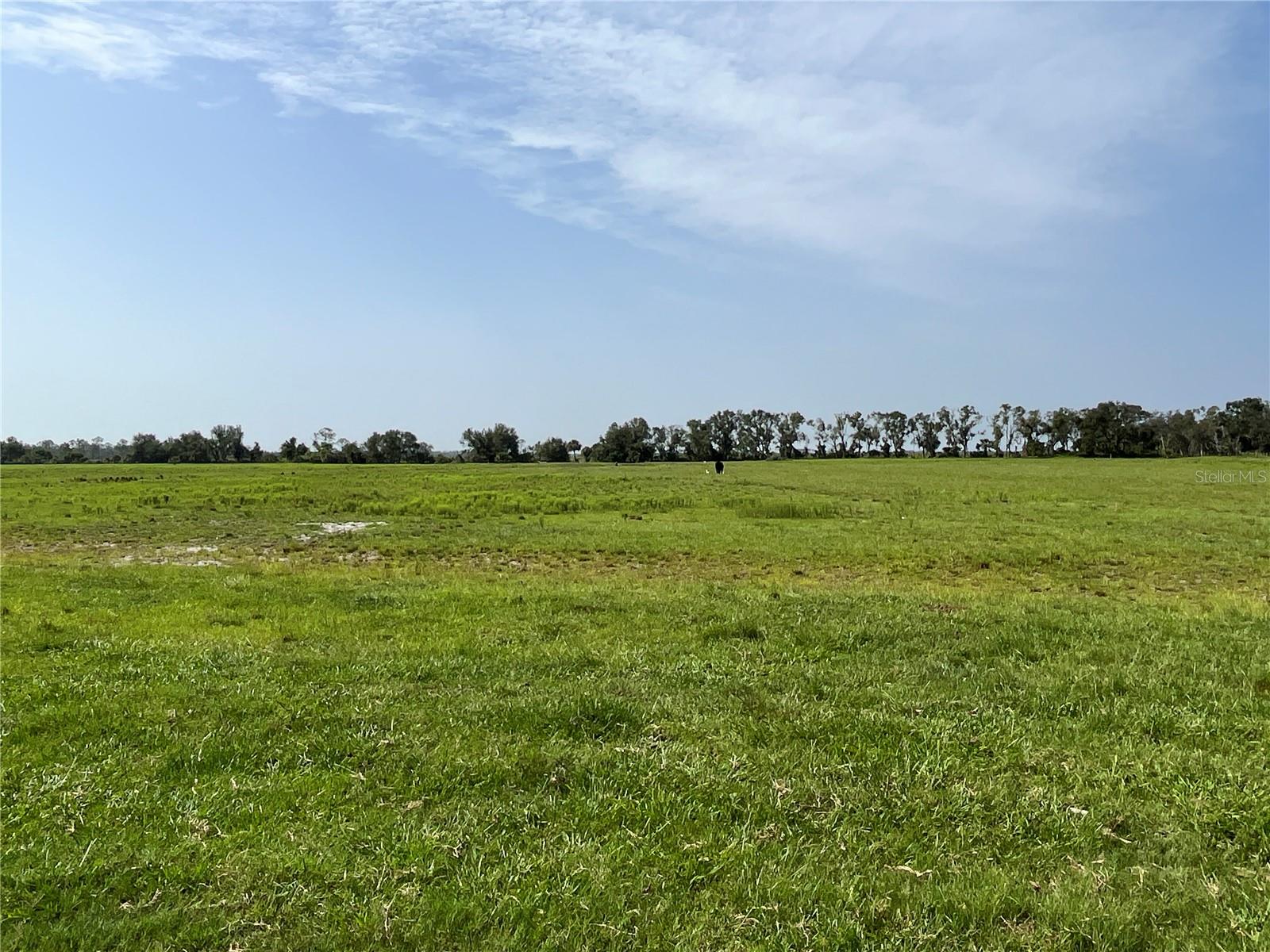 16425 COKER GULLY RD, MYAKKA CITY, FL, 34251