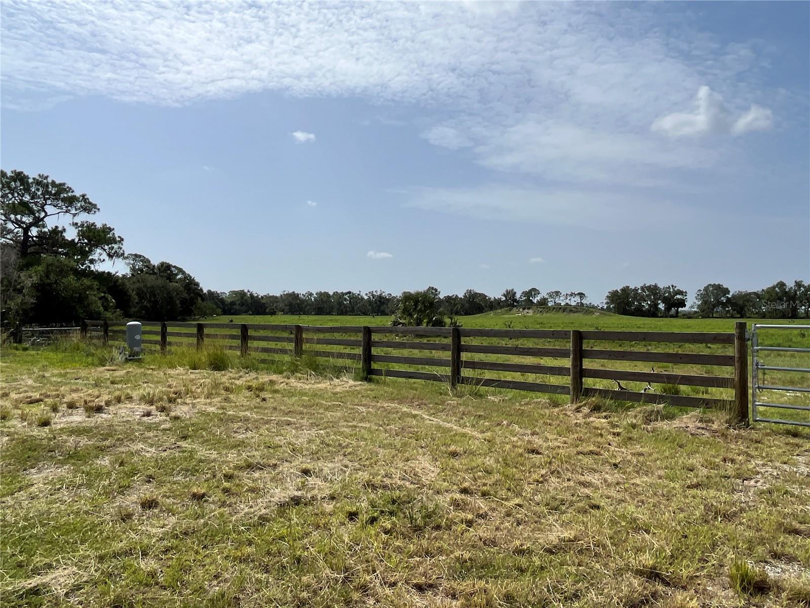 16425 COKER GULLY RD, MYAKKA CITY, FL, 34251