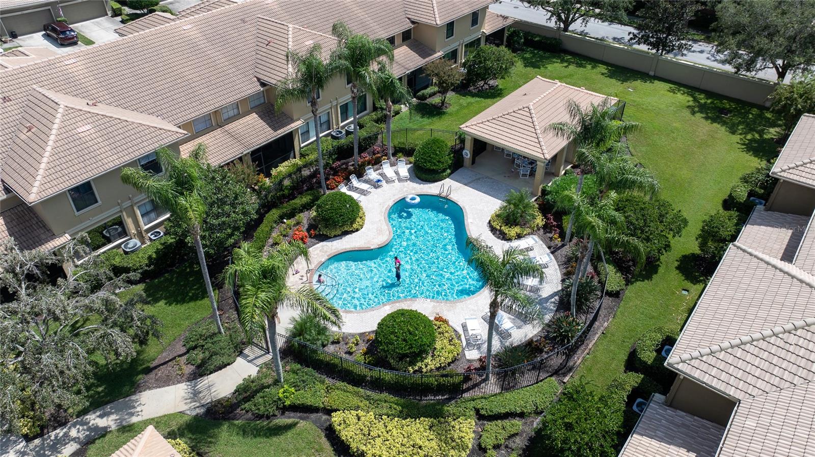 2539 SILVERBACK CT, PALM HARBOR, FL, 34684