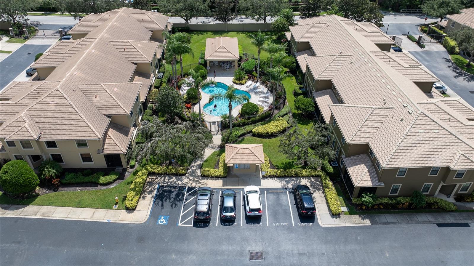 2539 SILVERBACK CT, PALM HARBOR, FL, 34684