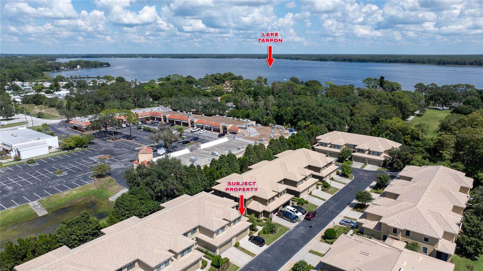 2539 SILVERBACK CT, PALM HARBOR, FL, 34684