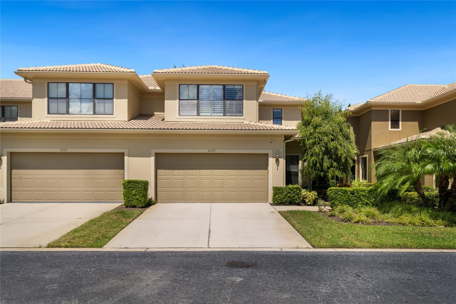 2539 SILVERBACK CT, PALM HARBOR, FL, 34684