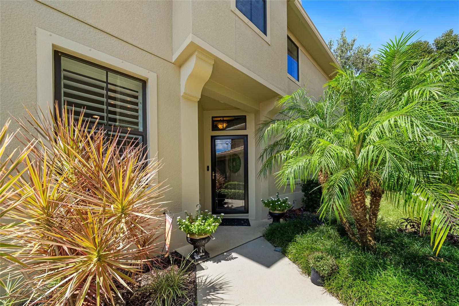 2539 SILVERBACK CT, PALM HARBOR, FL, 34684