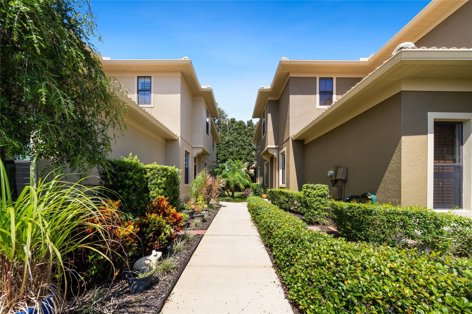 2539 SILVERBACK CT, PALM HARBOR, FL, 34684