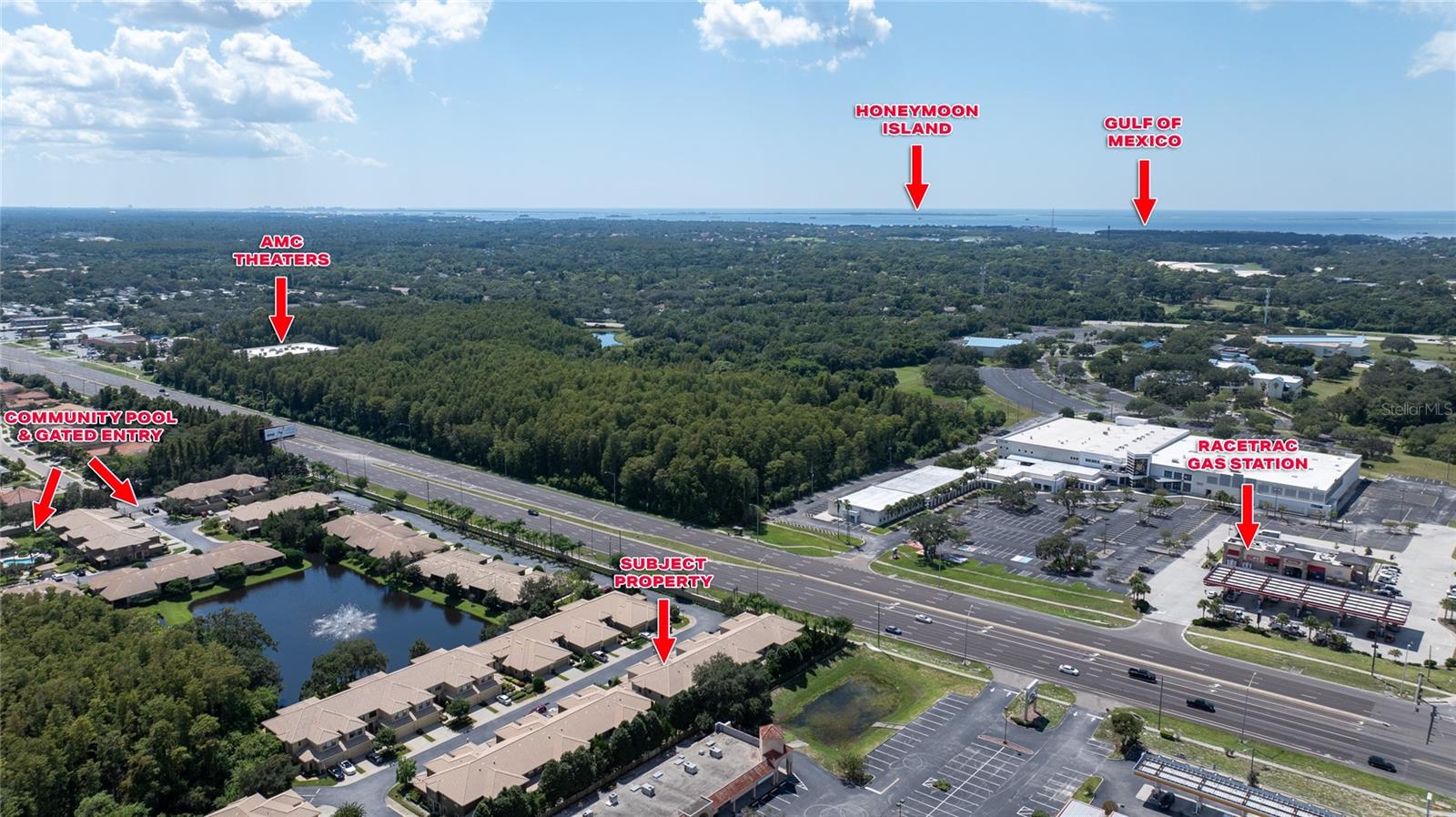 2539 SILVERBACK CT, PALM HARBOR, FL, 34684