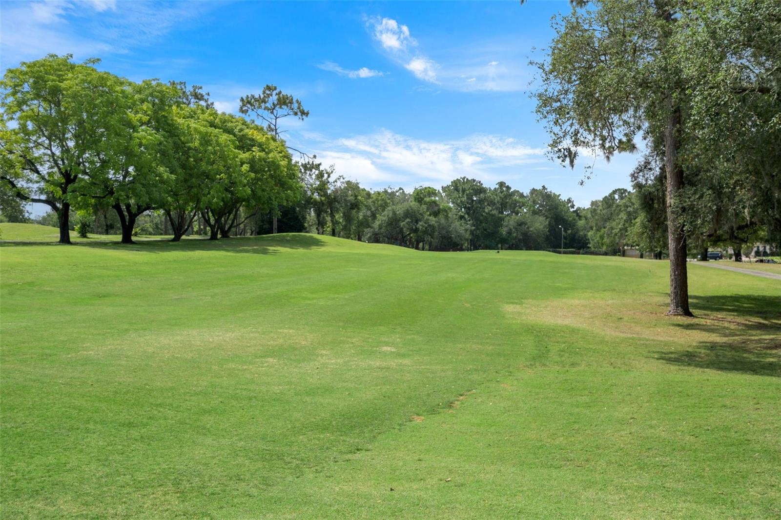 9289 GRAND CYPRESS DR, WEEKI WACHEE, FL, 34613