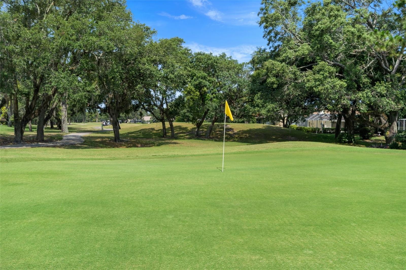 9289 GRAND CYPRESS DR, WEEKI WACHEE, FL, 34613