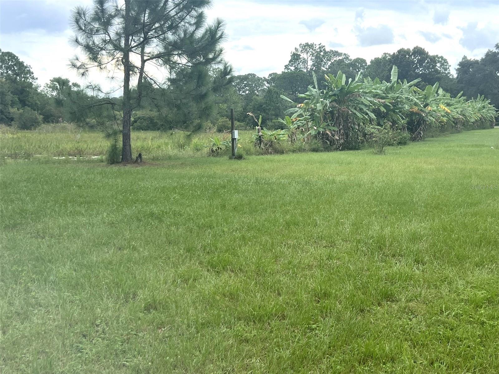 GROVELAND FARMS 36-22-24, GROVELAND, FL, 34736