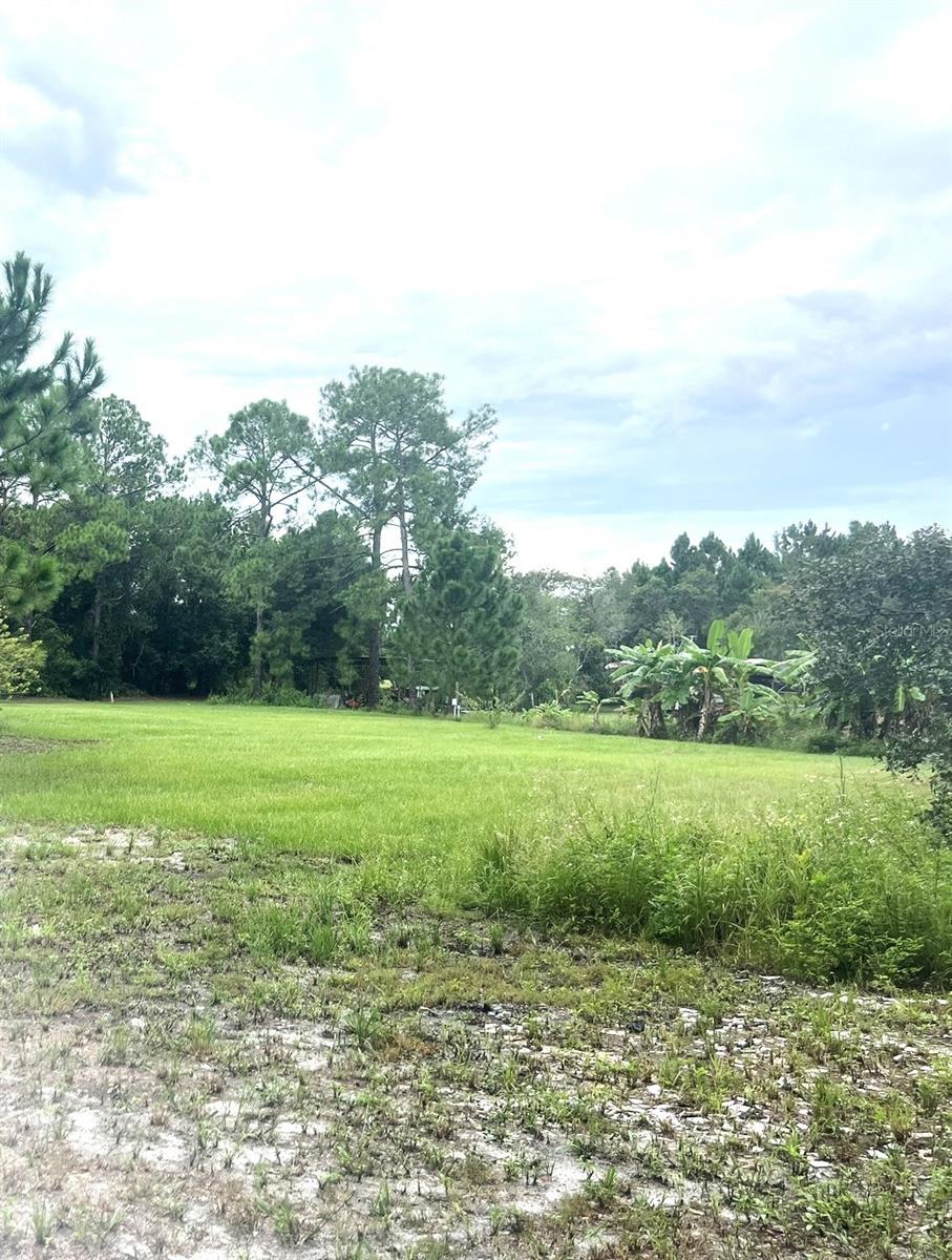 GROVELAND FARMS 36-22-24, GROVELAND, FL, 34736