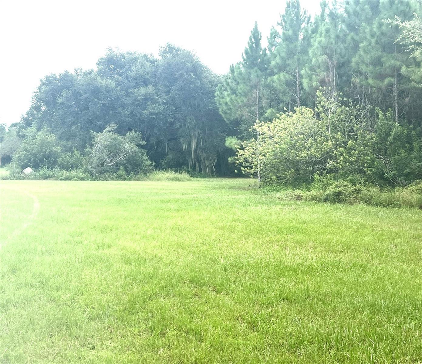 GROVELAND FARMS 36-22-24, GROVELAND, FL, 34736