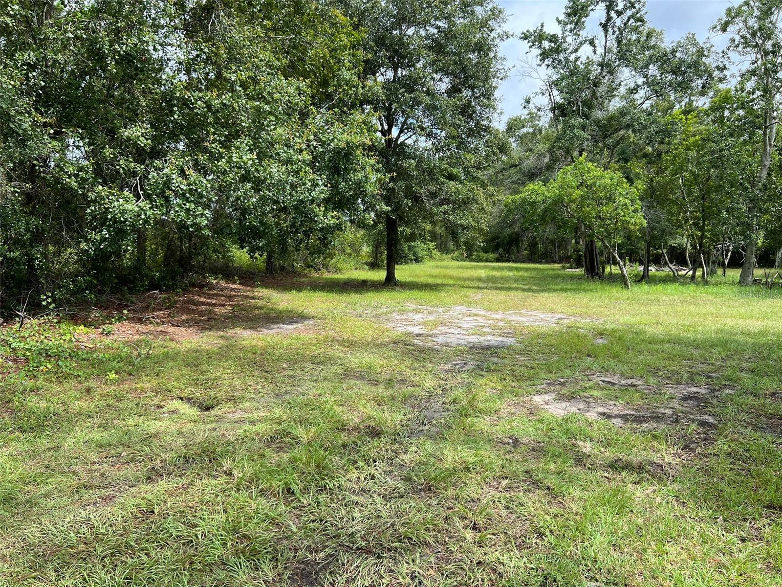 GROVELAND FARMS 36-22-24, GROVELAND, FL, 34736