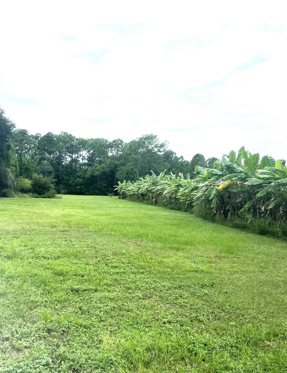 GROVELAND FARMS 36-22-24, GROVELAND, FL, 34736