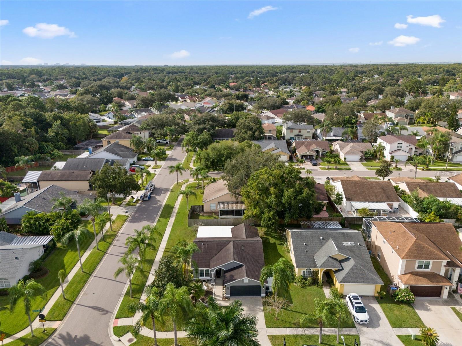 11202 CLAYRIDGE DR, TAMPA, FL, 33635