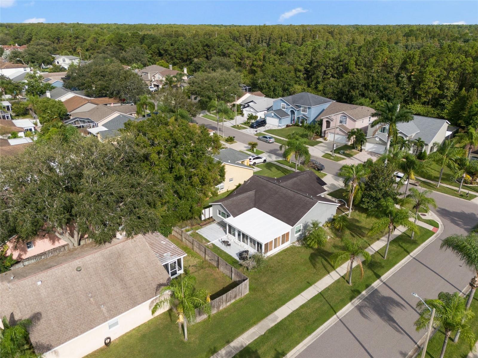 11202 CLAYRIDGE DR, TAMPA, FL, 33635