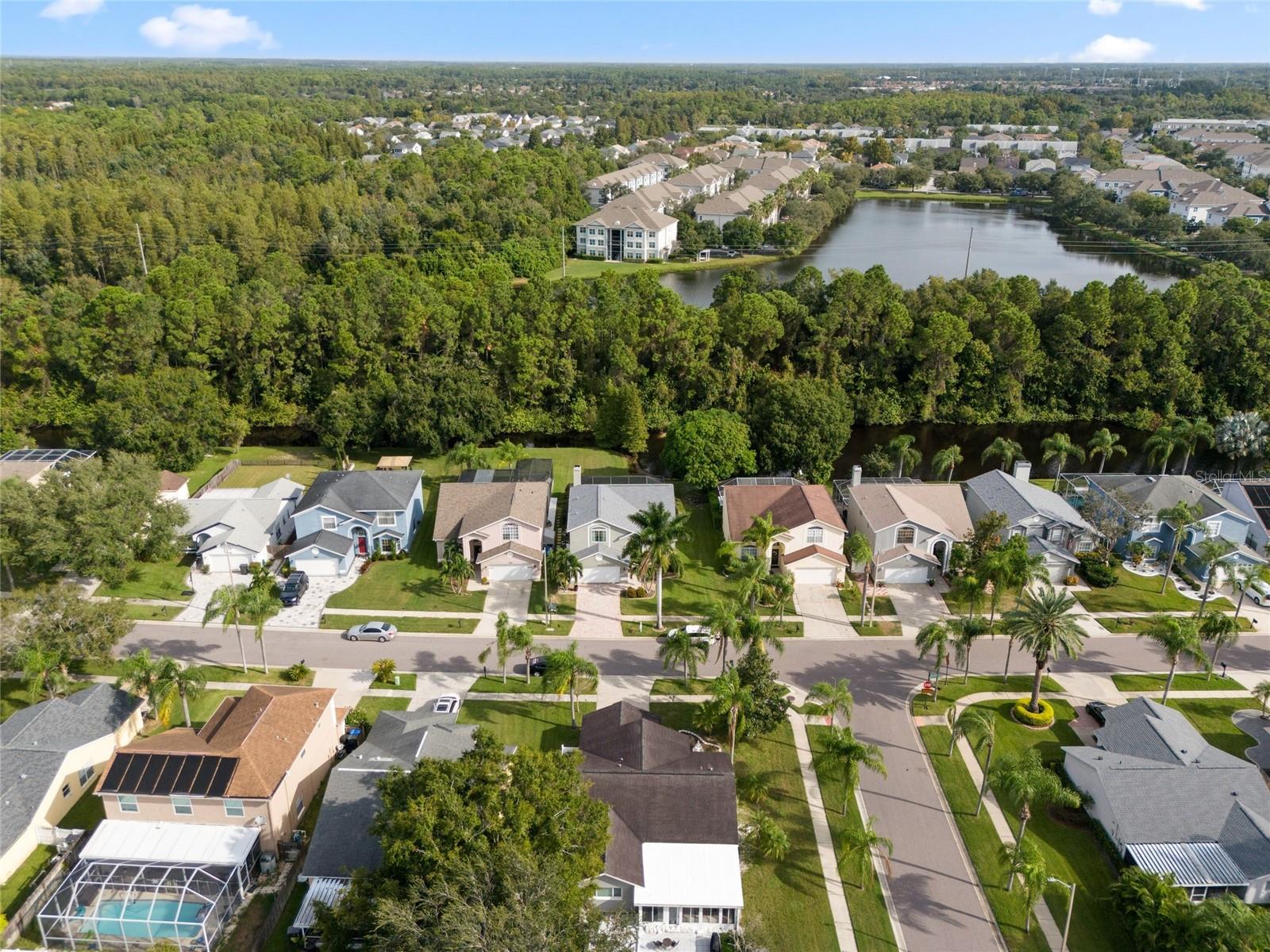 11202 CLAYRIDGE DR, TAMPA, FL, 33635