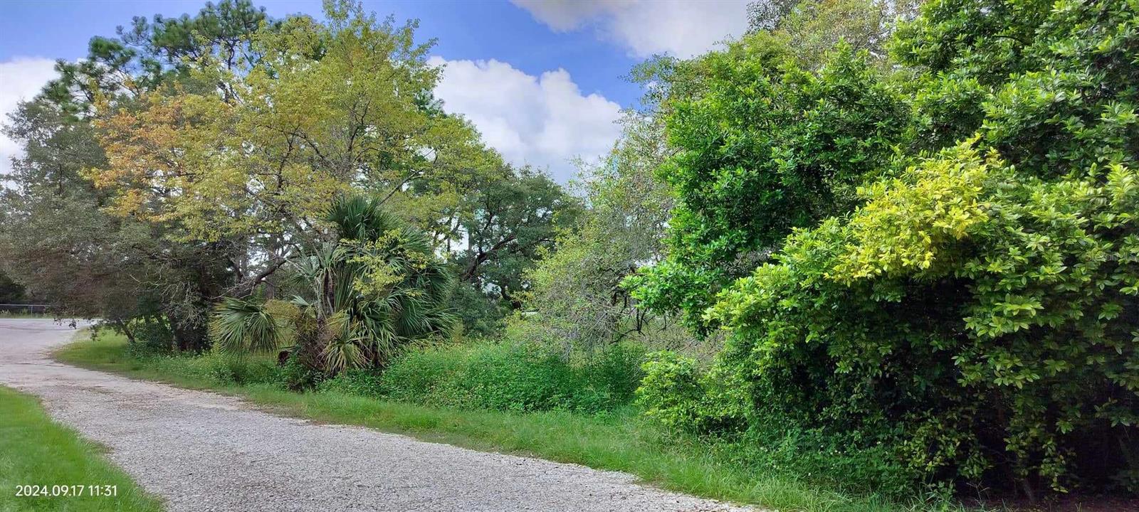 5086 S FELIX PT, HOMOSASSA, FL, 34446