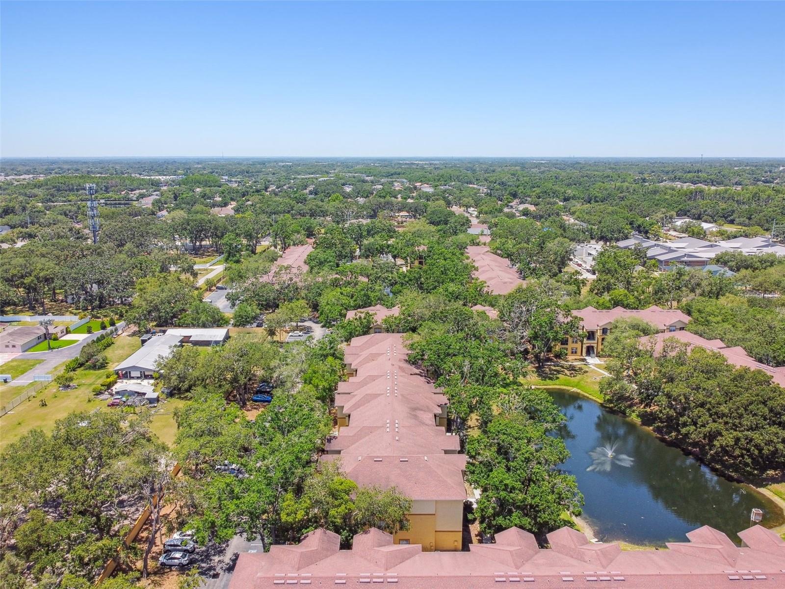 5608 PINNACLE HEIGHTS CIR #305, TAMPA, FL, 33624