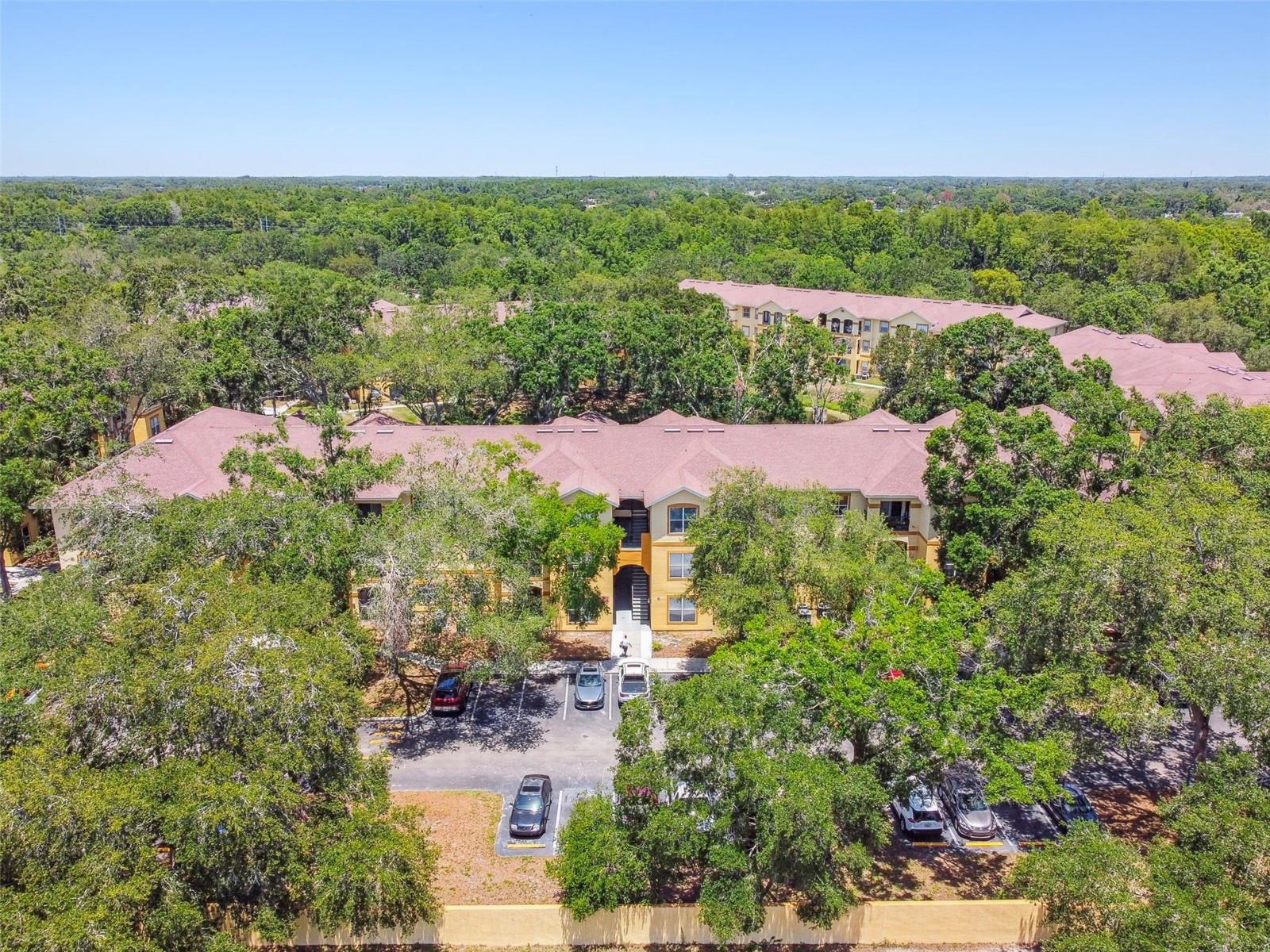 5608 PINNACLE HEIGHTS CIR #305, TAMPA, FL, 33624