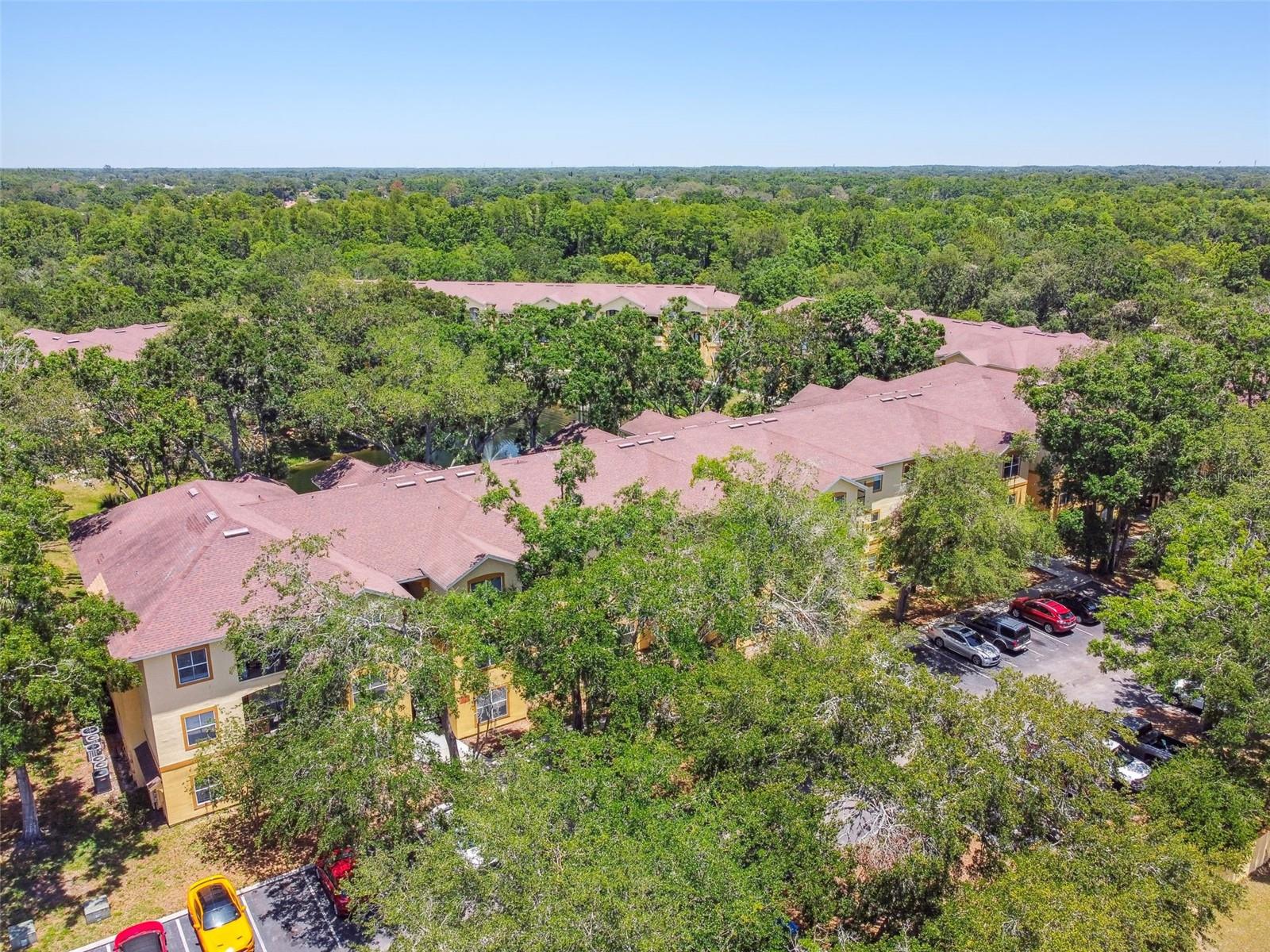 5608 PINNACLE HEIGHTS CIR #305, TAMPA, FL, 33624