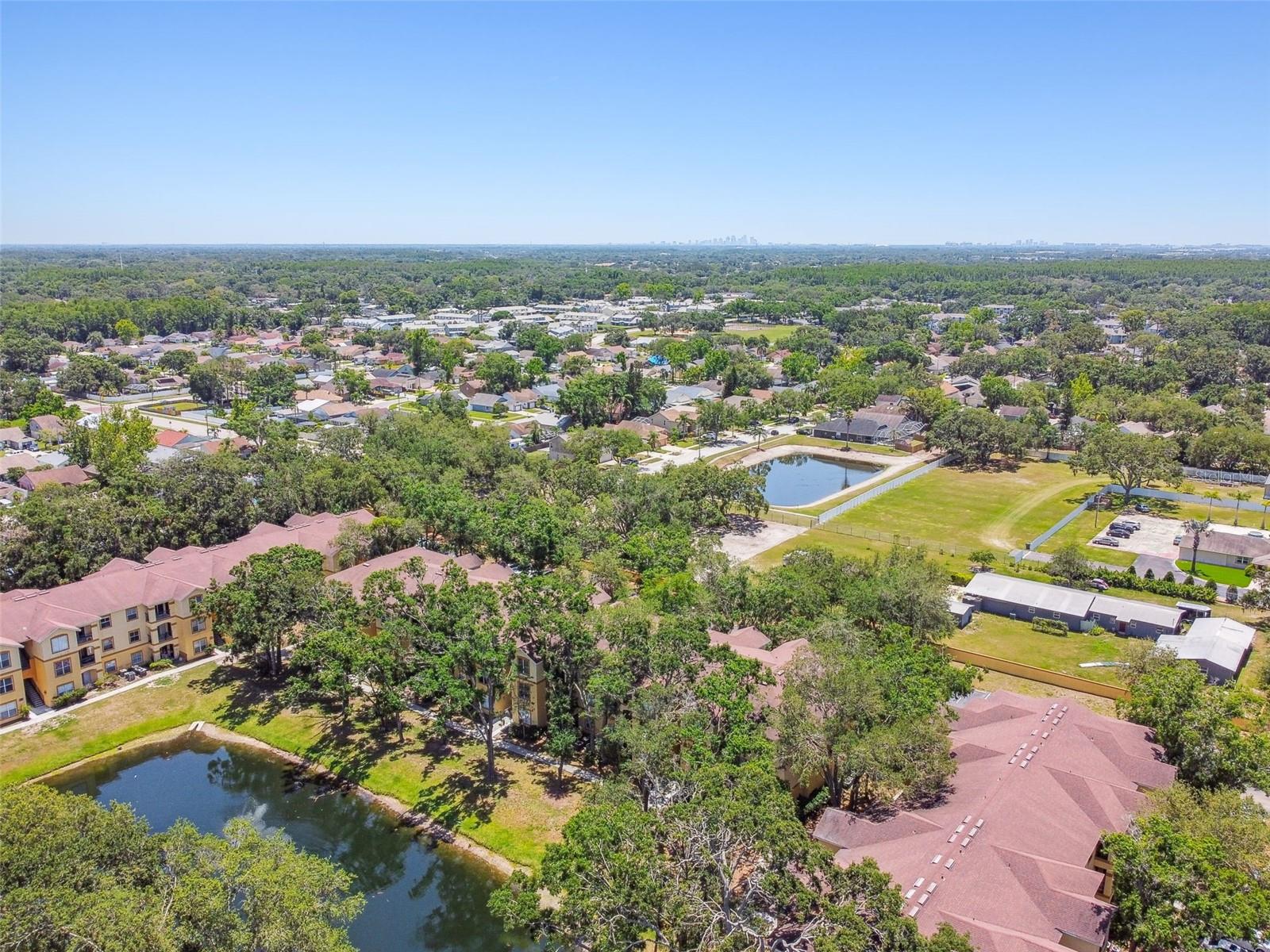 5608 PINNACLE HEIGHTS CIR #305, TAMPA, FL, 33624