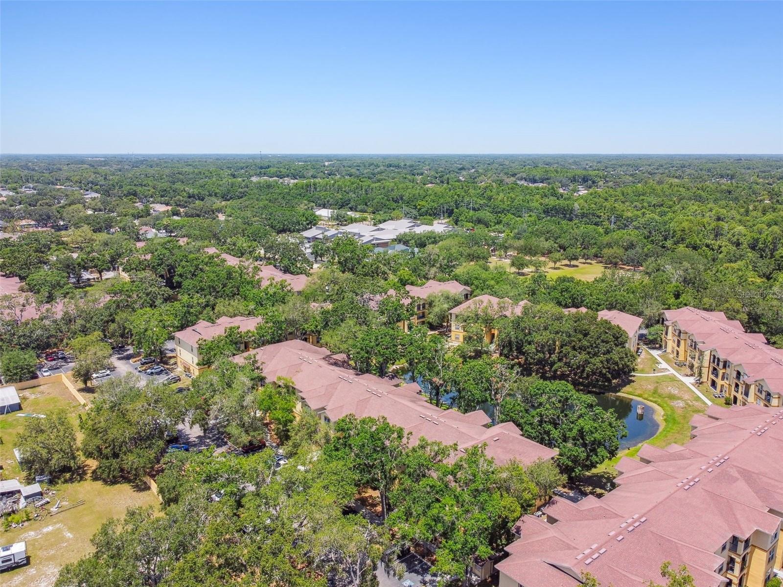 5608 PINNACLE HEIGHTS CIR #305, TAMPA, FL, 33624