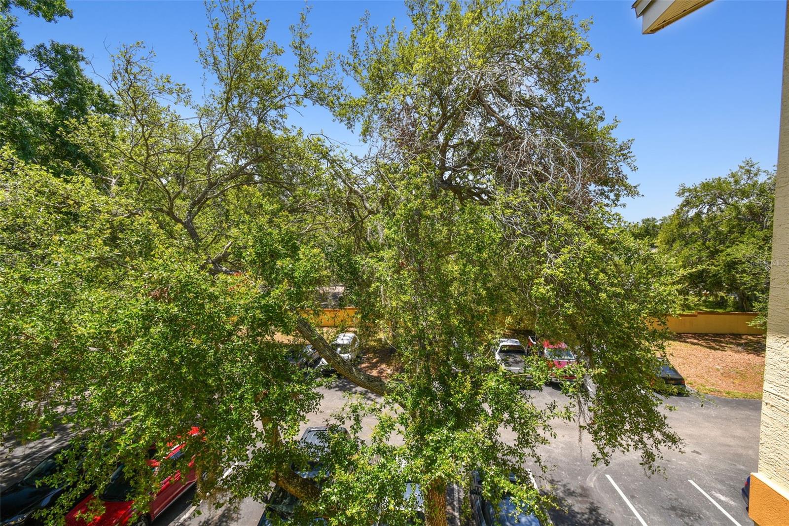 5608 PINNACLE HEIGHTS CIR #305, TAMPA, FL, 33624