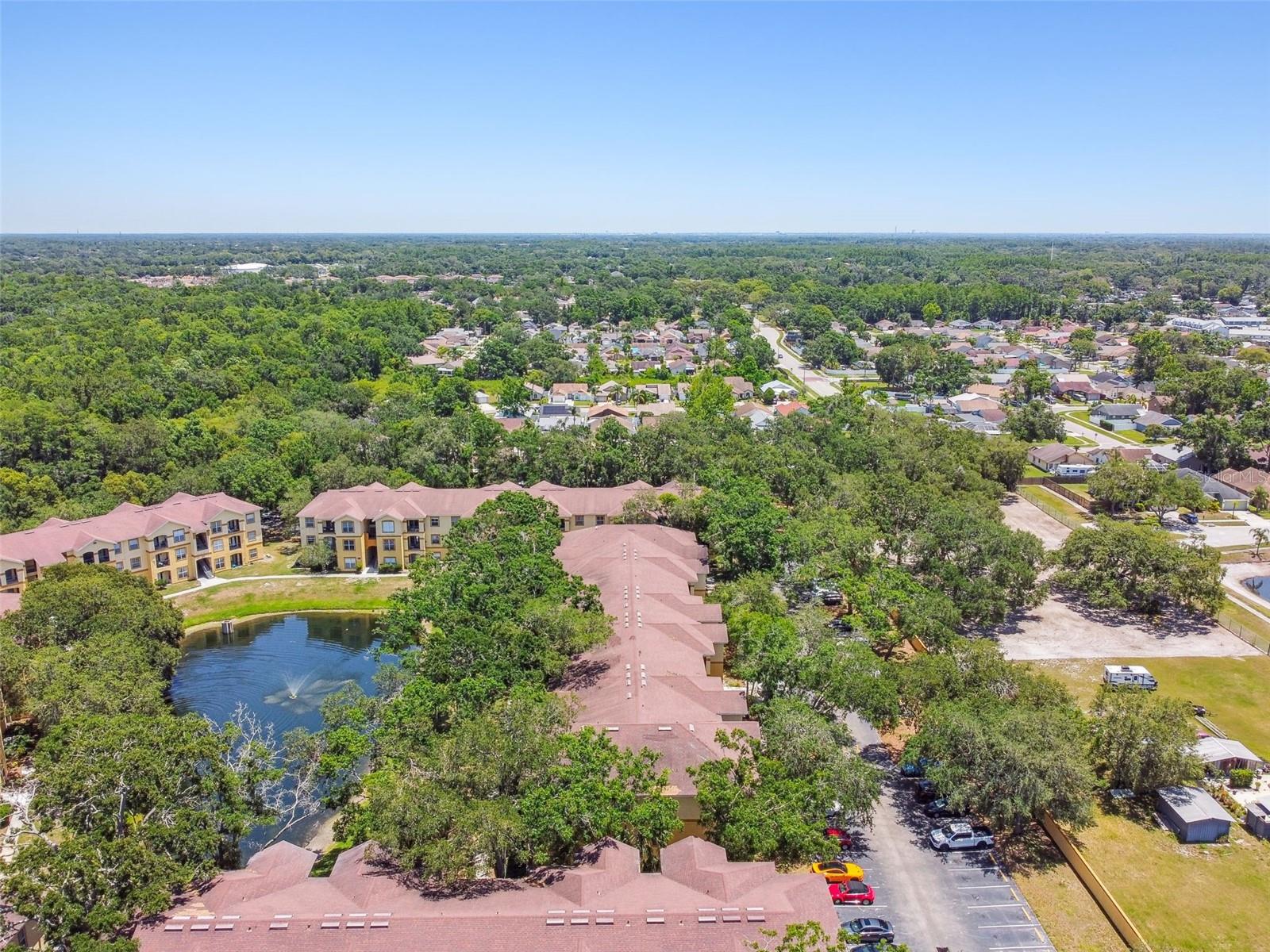 5608 PINNACLE HEIGHTS CIR #305, TAMPA, FL, 33624