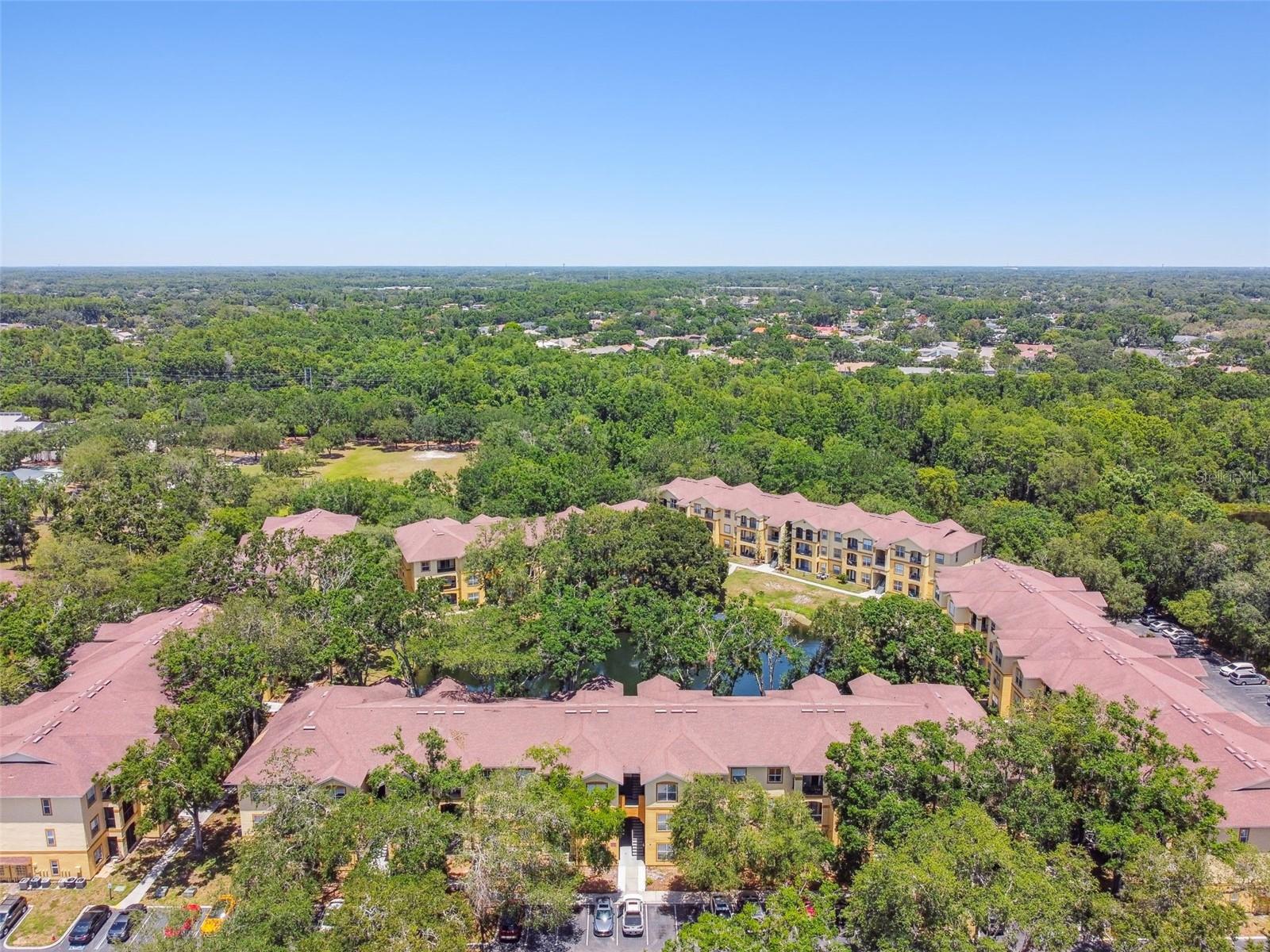 5608 PINNACLE HEIGHTS CIR #305, TAMPA, FL, 33624