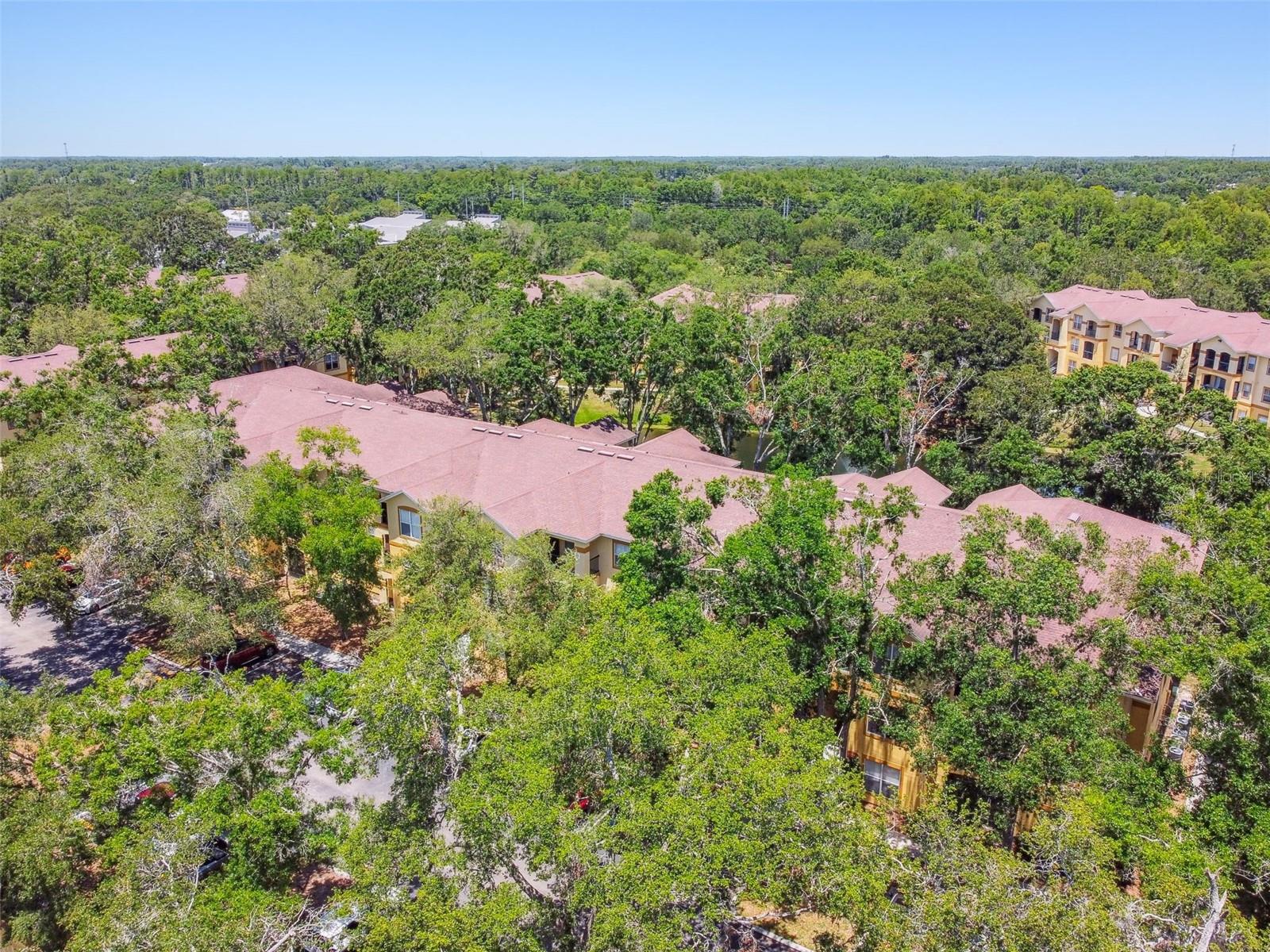 5608 PINNACLE HEIGHTS CIR #305, TAMPA, FL, 33624