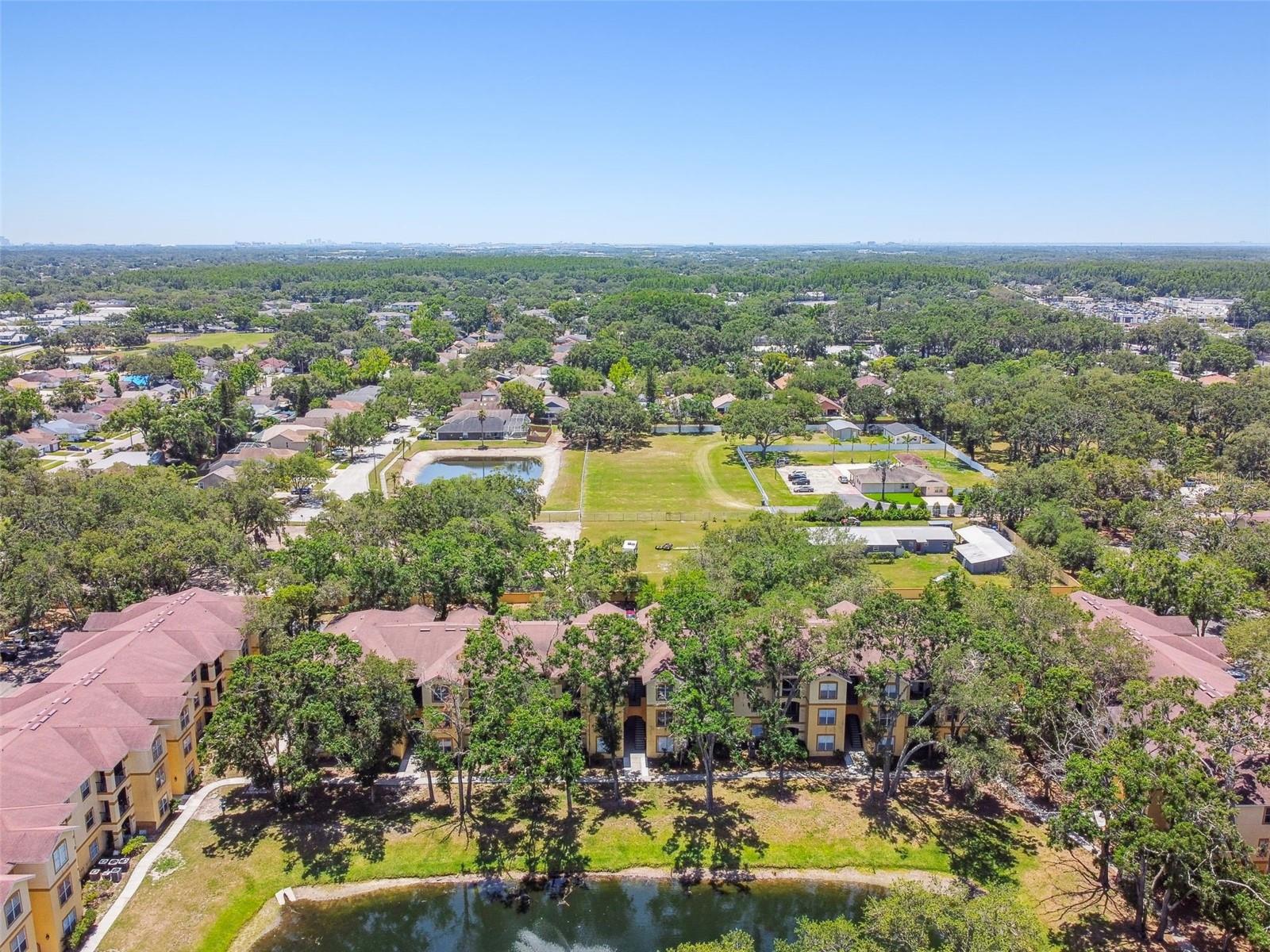 5608 PINNACLE HEIGHTS CIR #305, TAMPA, FL, 33624