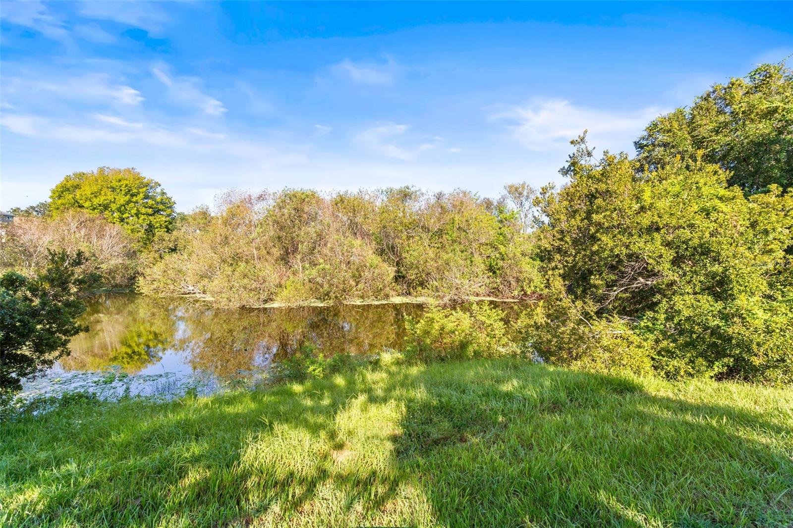 6317 MAGNOLIA PARK BLVD, RIVERVIEW, FL, 33578