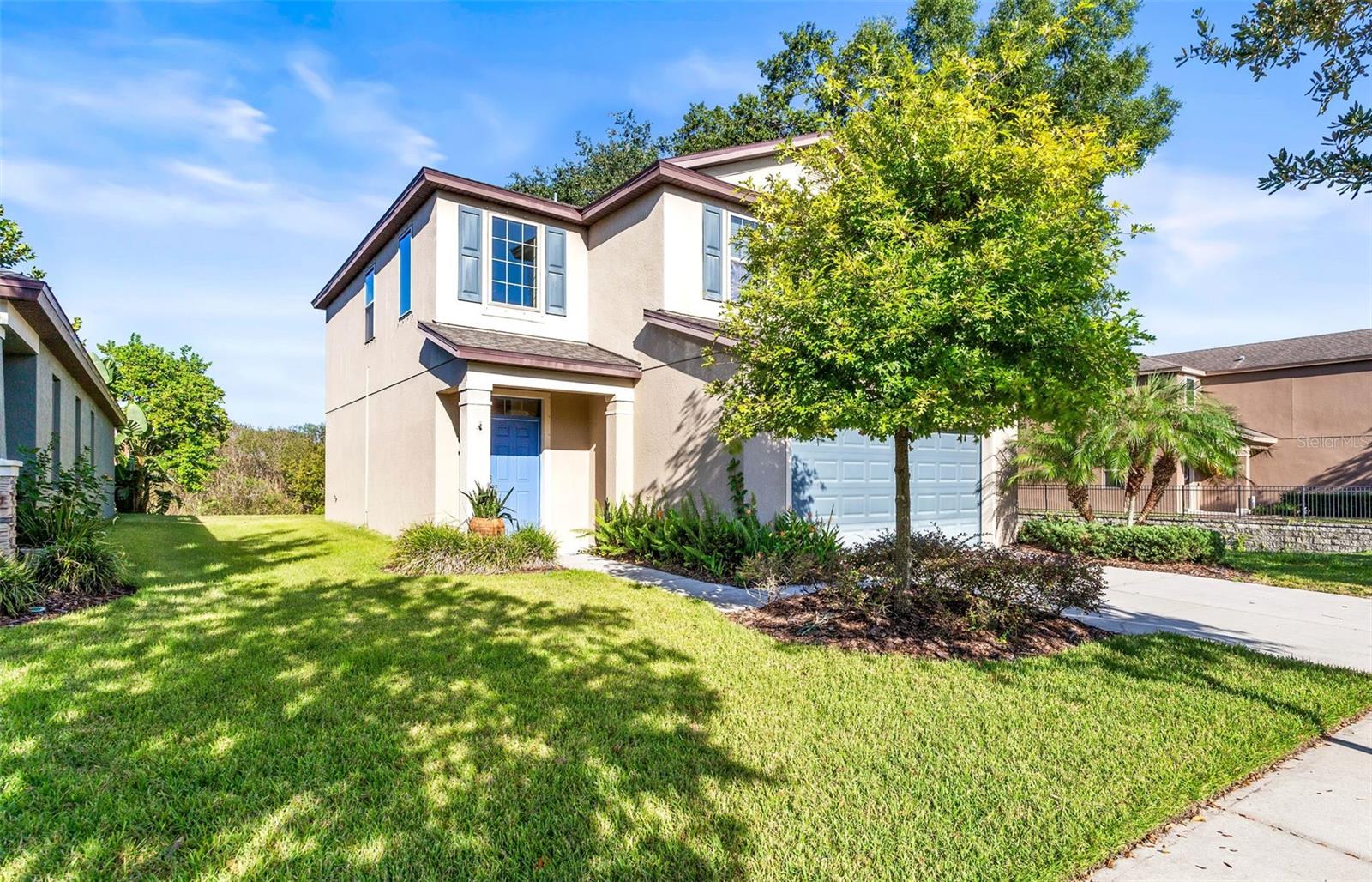 6317 MAGNOLIA PARK BLVD, RIVERVIEW, FL, 33578
