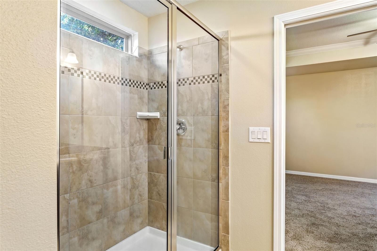 6317 MAGNOLIA PARK BLVD, RIVERVIEW, FL, 33578