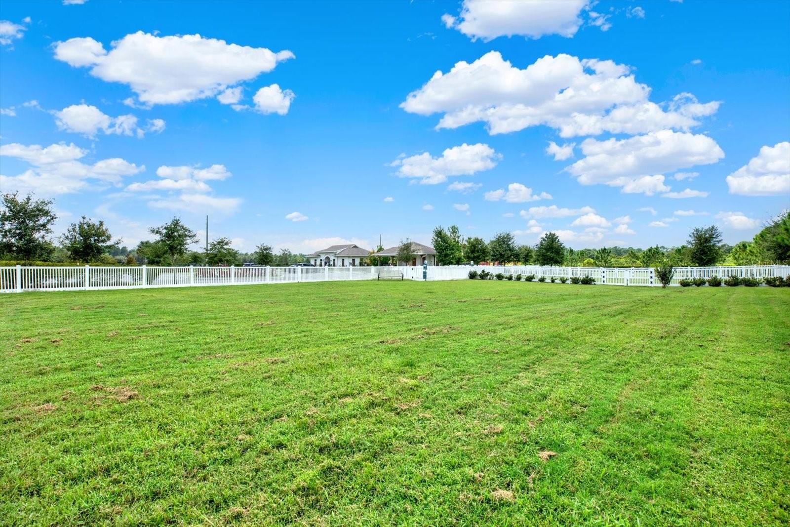 35670 OSPREY PERCH LN, ZEPHYRHILLS, FL, 33541