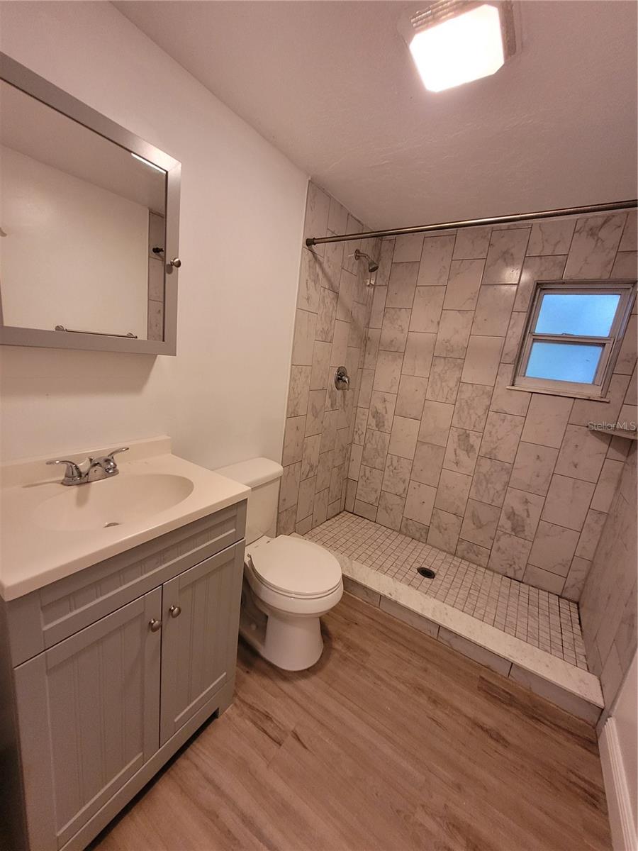 410 E LIVINGSTON ST #3, ORLANDO, FL, 32803