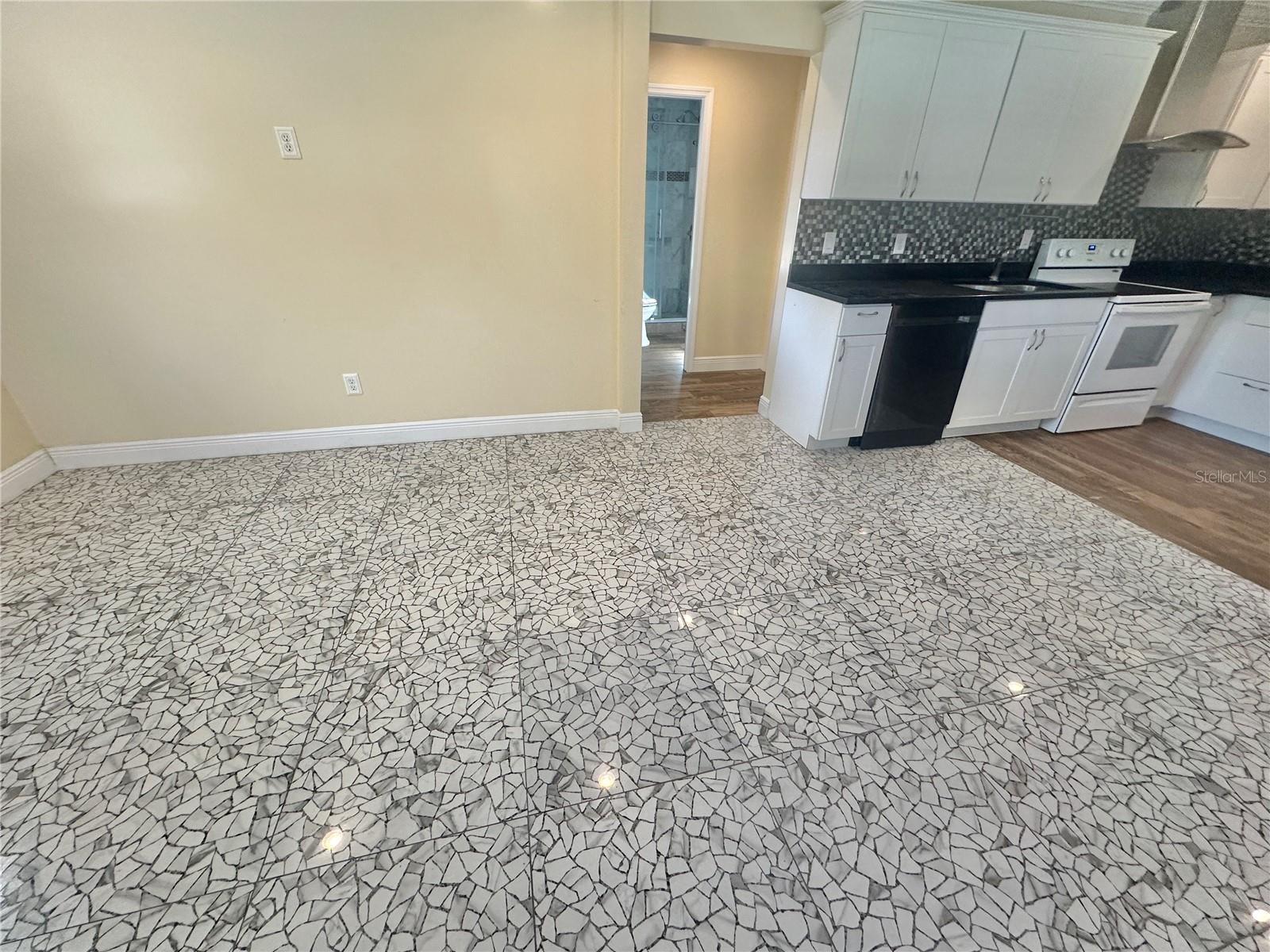 3902 W EUCLID AVE #4, TAMPA, FL, 33629