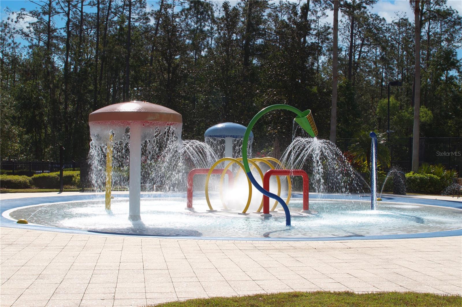3820 SILVERLAKE WAY, WESLEY CHAPEL, FL, 33544