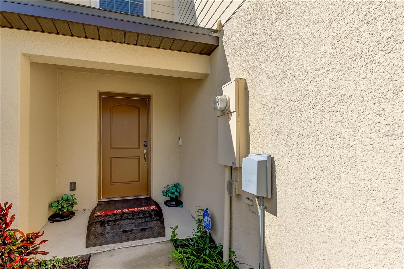 5377 COMPANION LN, TAMPA, FL, 33619