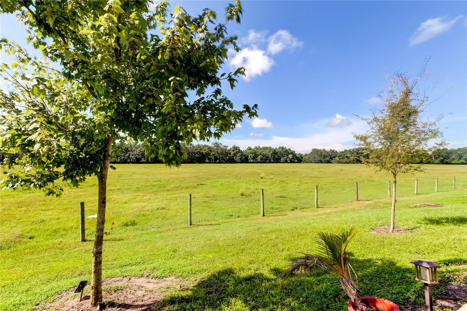 5377 COMPANION LN, TAMPA, FL, 33619