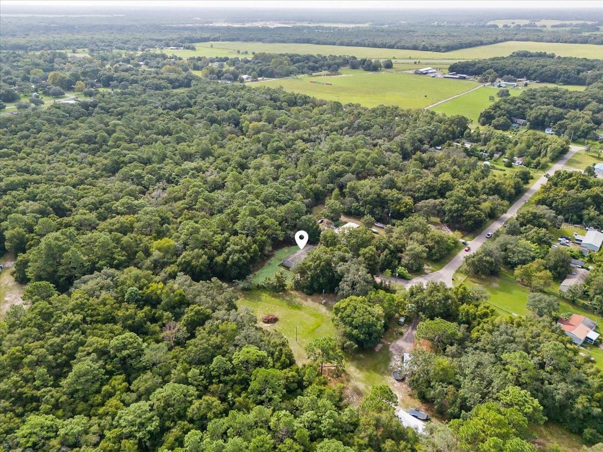 17660 PEARLWOOD DR, SPRING HILL, FL, 34610
