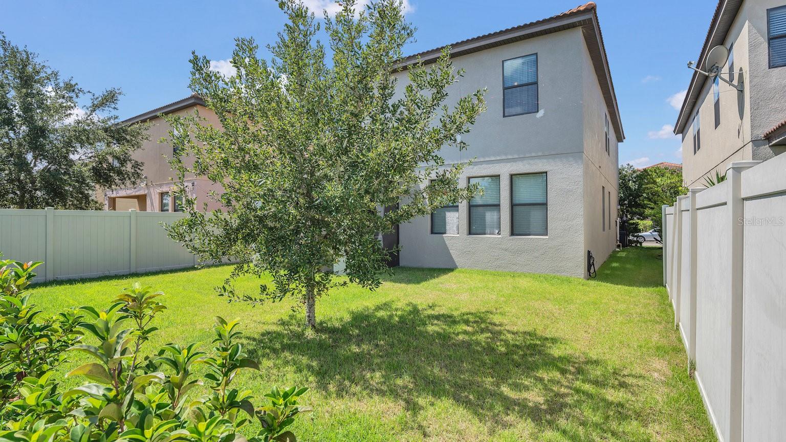 2092 LEATHER FERN DR, OCOEE, FL, 34761